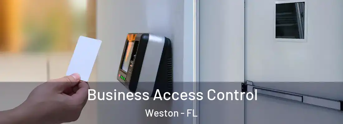 Business Access Control Weston - FL