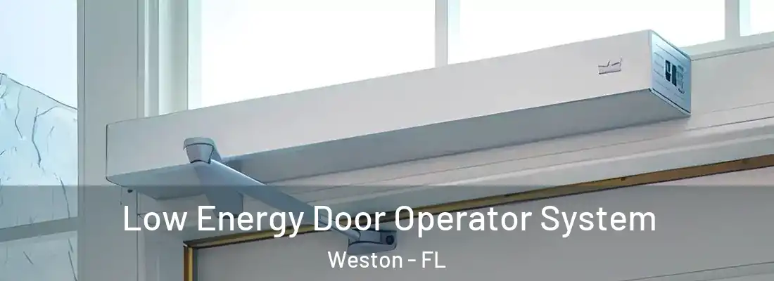 Low Energy Door Operator System Weston - FL
