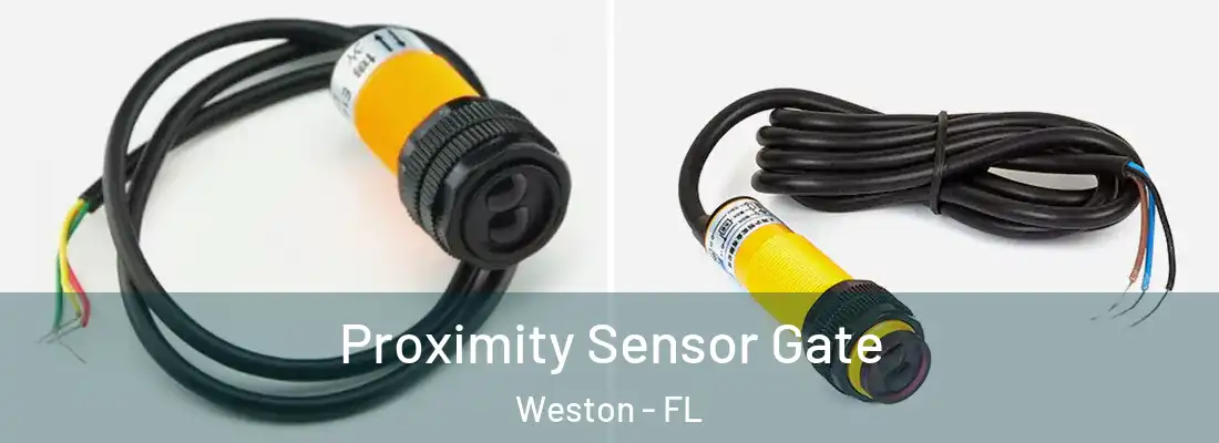 Proximity Sensor Gate Weston - FL